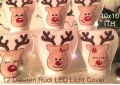 Rudi LED Cover 10x10 ITH Reindeer