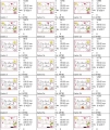 Bild 1 von Gartenschilder ITH 13x18 bis 20x30 Set und einzeln   / (Musterauswahl) 16x26