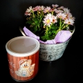 Bild 4 von EP  Digistamp  Seebert mit Meerhasi