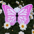 Bild 6 von Applikation Schmetterling 10x10  13x18  16x26  18x30  und 20x30