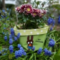 Bild 8 von EP Digistamp *Eiersuche* 